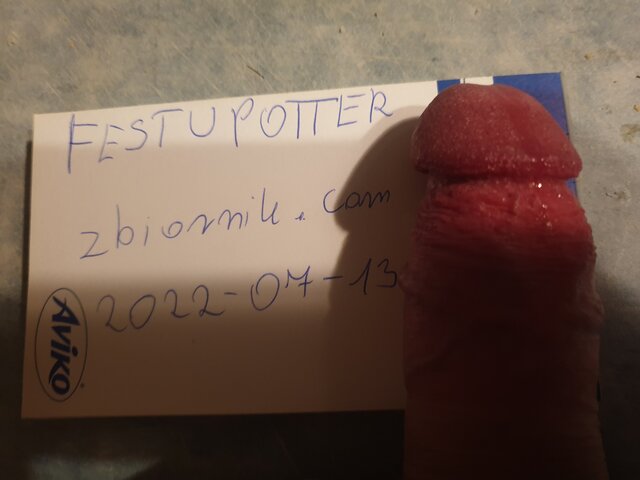 FestuPotter