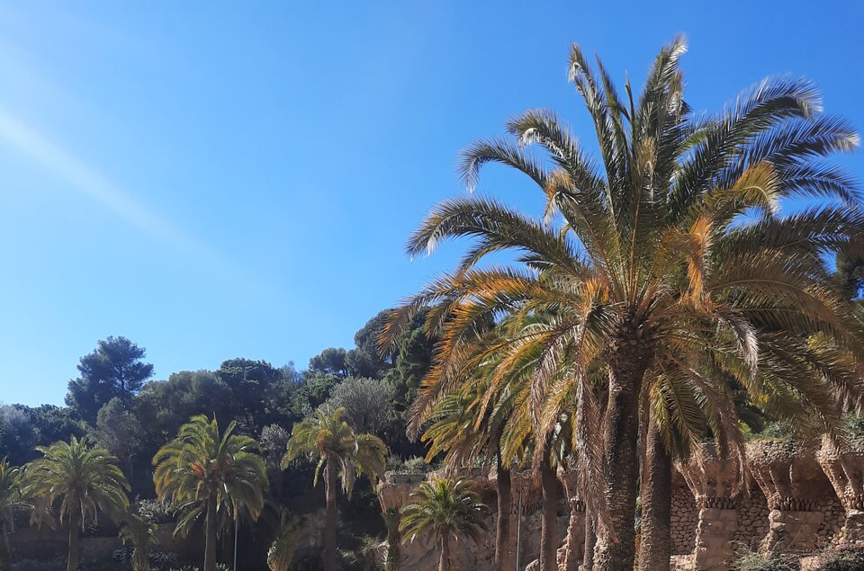 20220221_144426.jpg - Niepozorny190