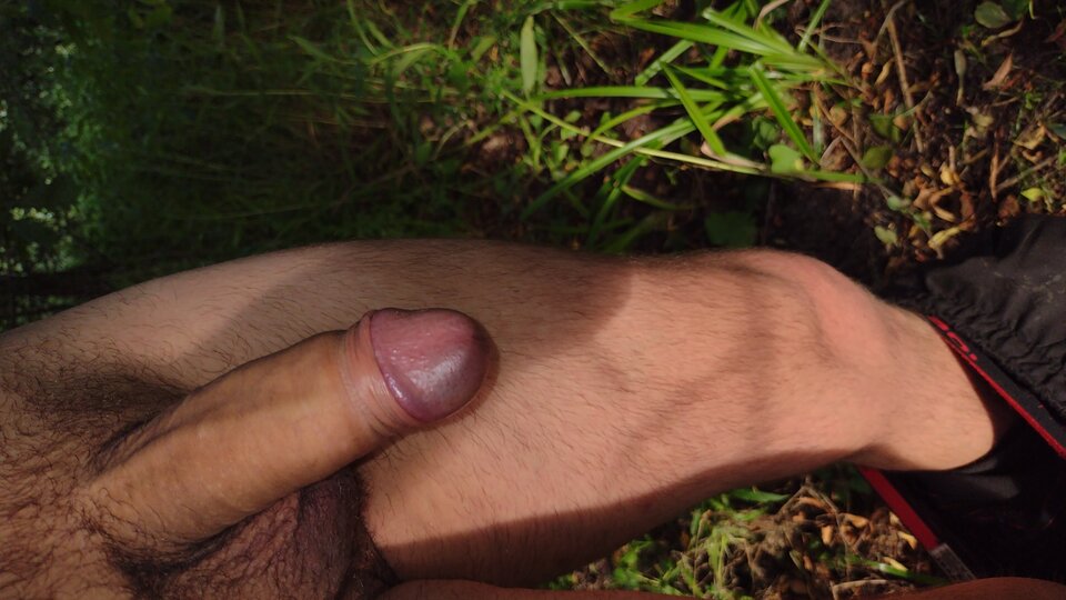 IMG_20220713_185308128.jpg - jan2121