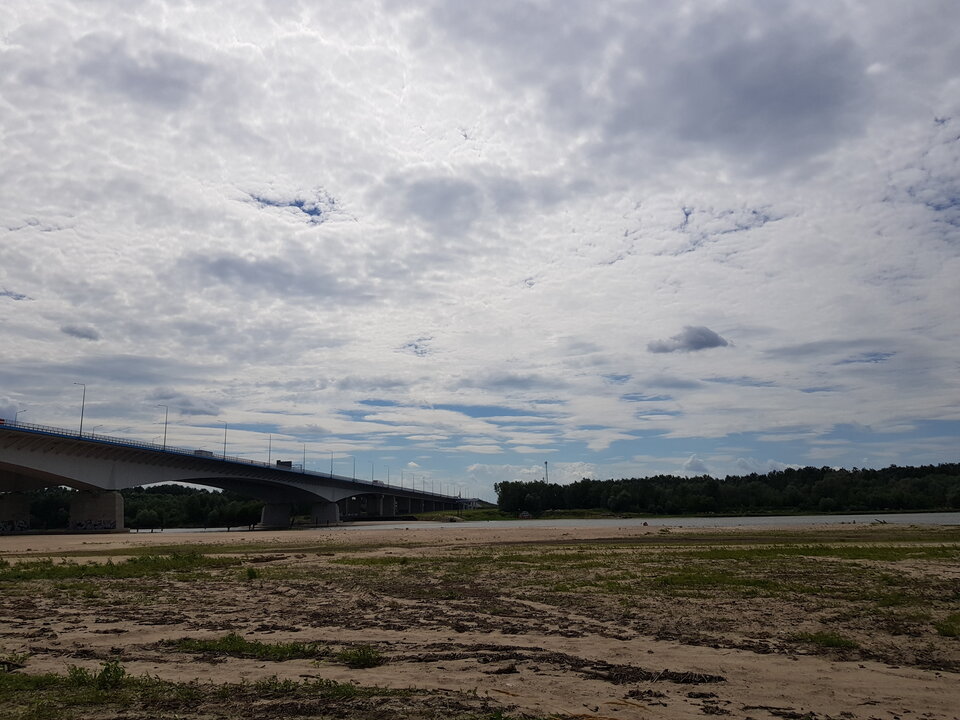 20220713_144633.jpg - D60LM