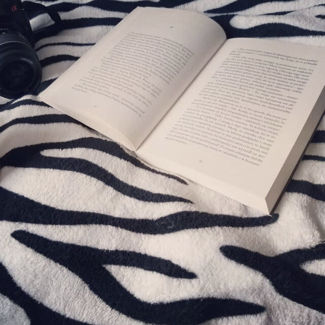 875A5BB9-1BAC-4FB2-82D0-87CB7A47AD77.jpeg - dreams1980