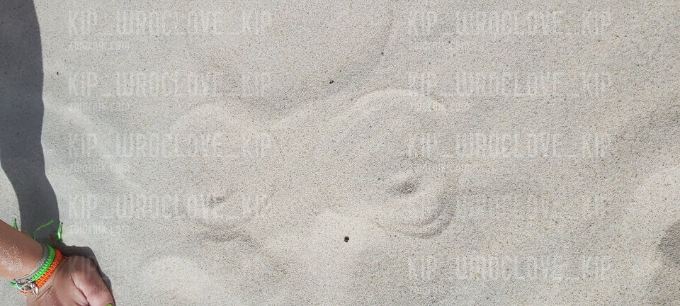 Chalupy_3.jpg - KiP_Wroclove_KiP