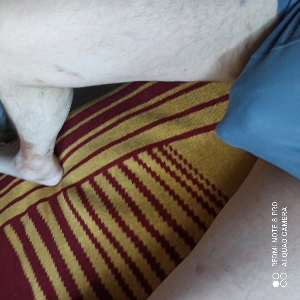 1657809834866..jpg - wolnyjakPtaszek