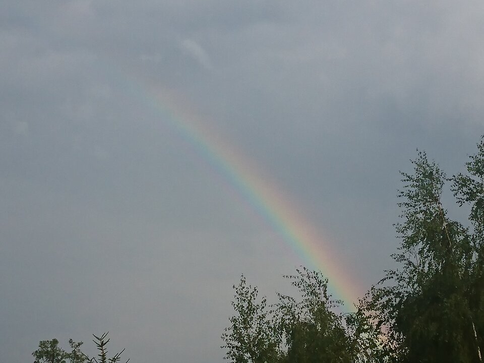 DSC_0288.JPG - minimax69