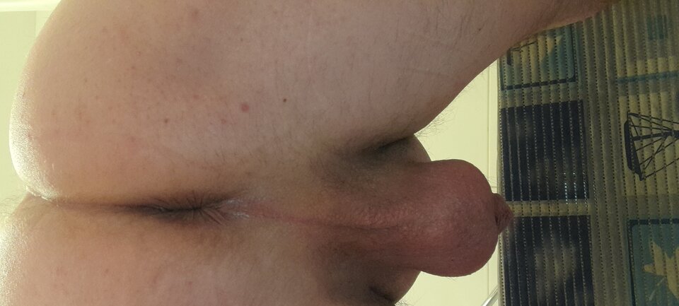 20220206_162019.jpg - Tygrys4040