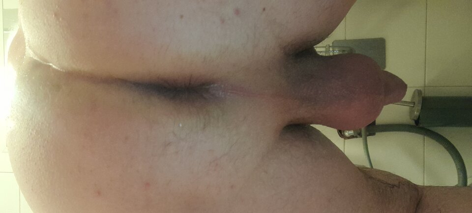 20220206_131317.jpg - Tygrys4040