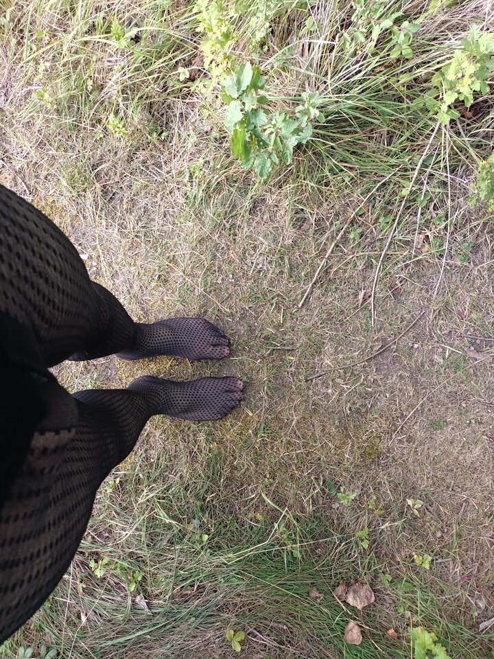 IMG20220715173521.jpg - Hornet18