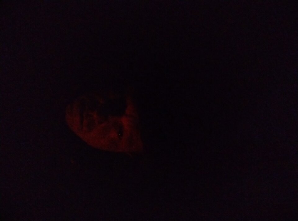 IMG_20220715_231709.jpg - Northman11