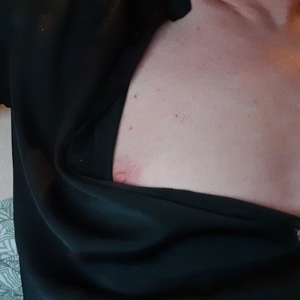 16580041379584715115815355069743.jpg - Palciusia