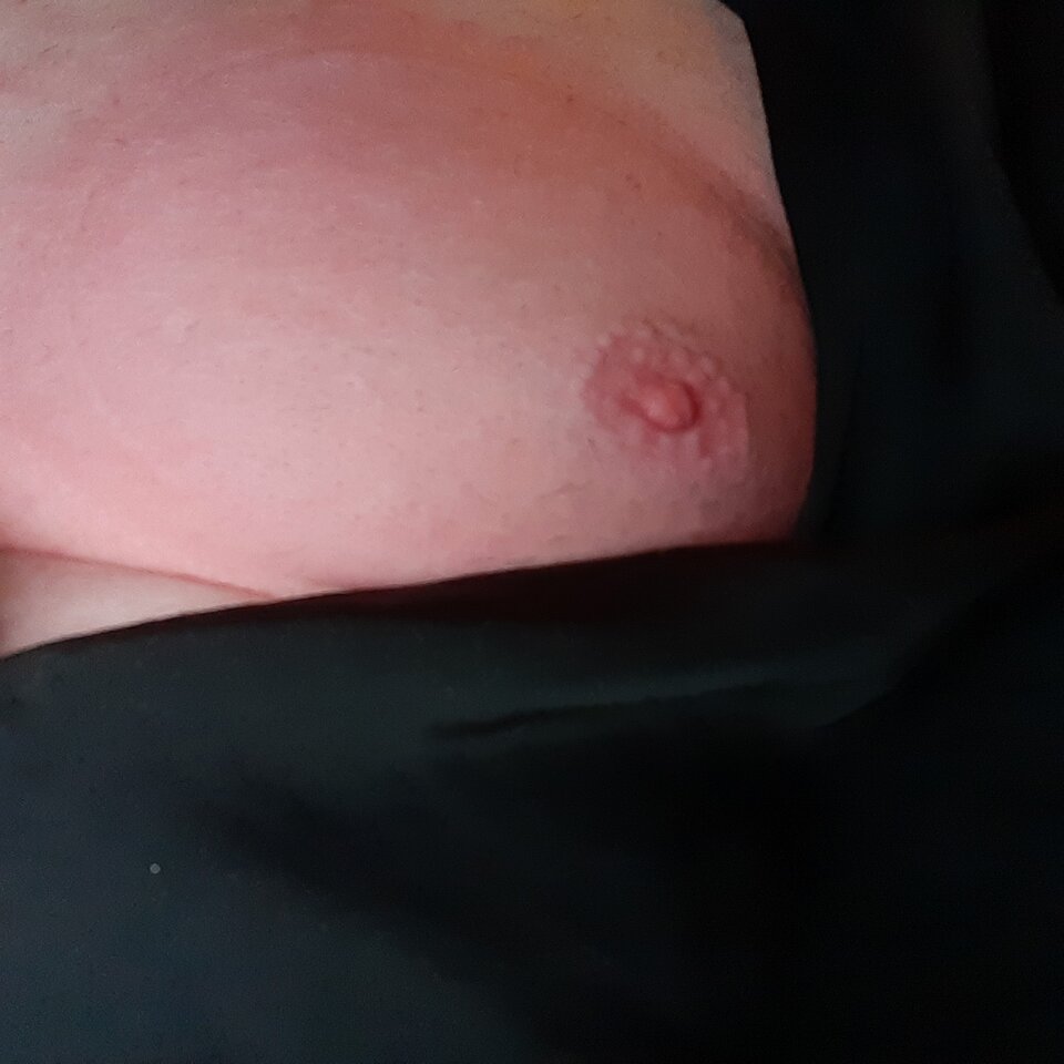 16580042324453874400244805216007.jpg - Palciusia