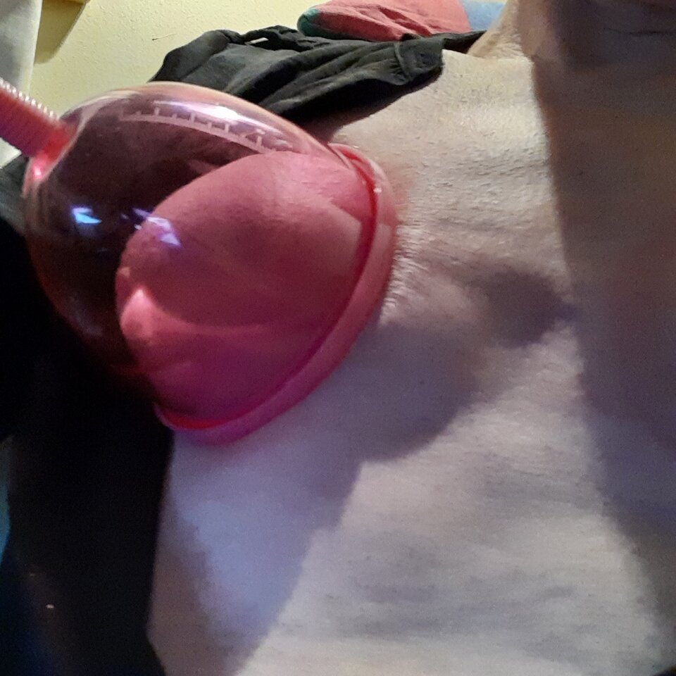 16580044742906361266955315930334.jpg - Palciusia