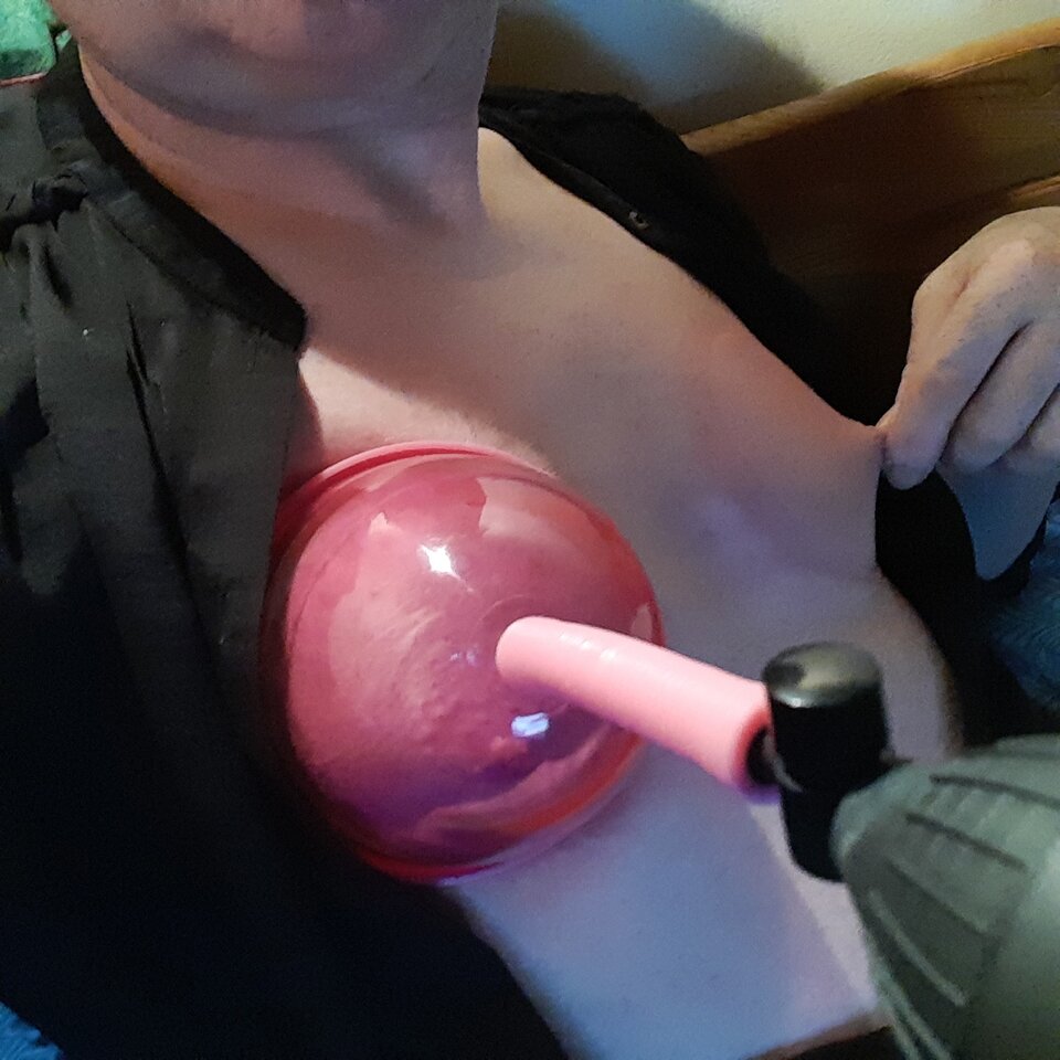 16580045351291324000574482245395.jpg - Palciusia