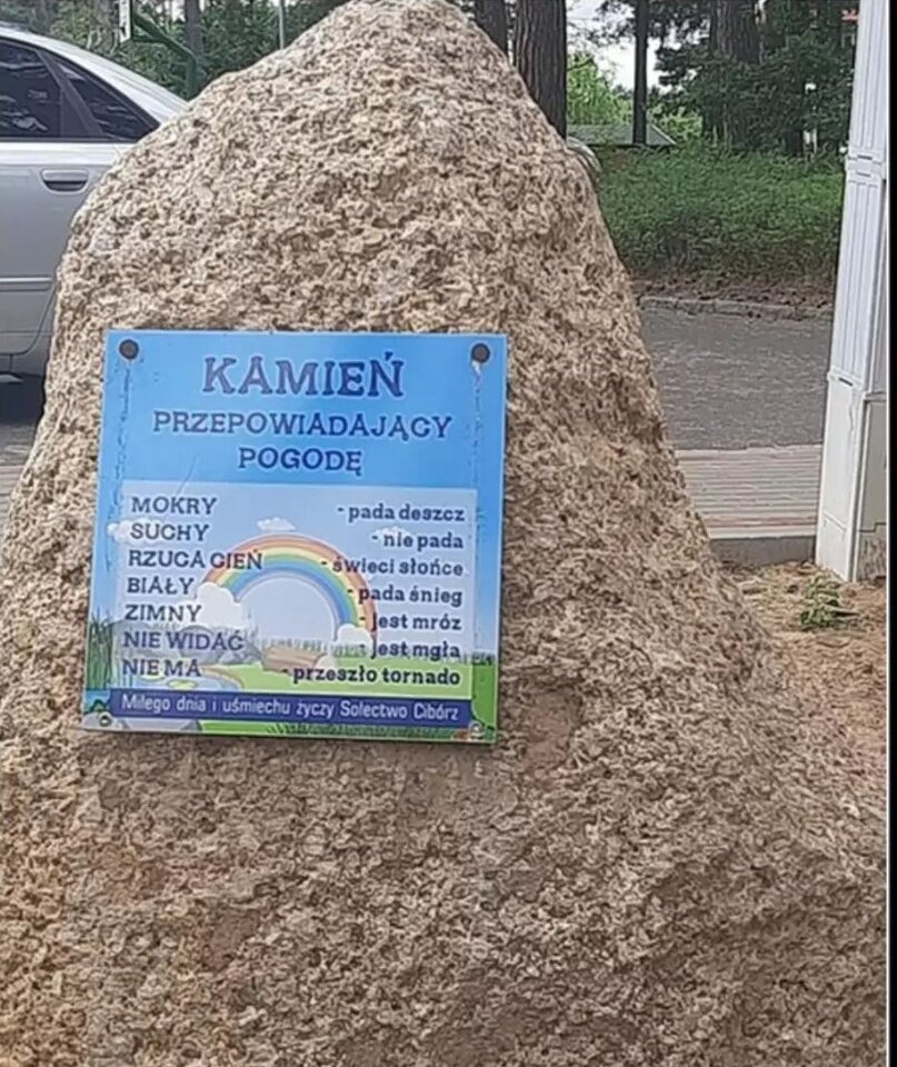 IMG_20220713_182156.jpg - Nicci