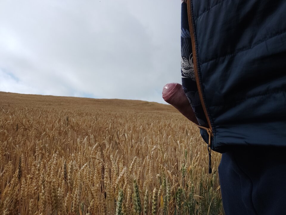 IMG_20220717_082159.jpg - Rumcajs79X