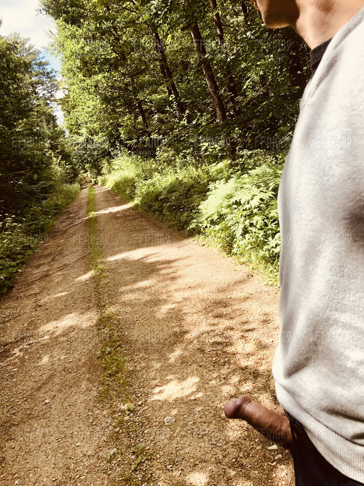 ACBB8014-4D7B-4A26-96F3-72EE9E9266D5.jpeg - Ffrig89