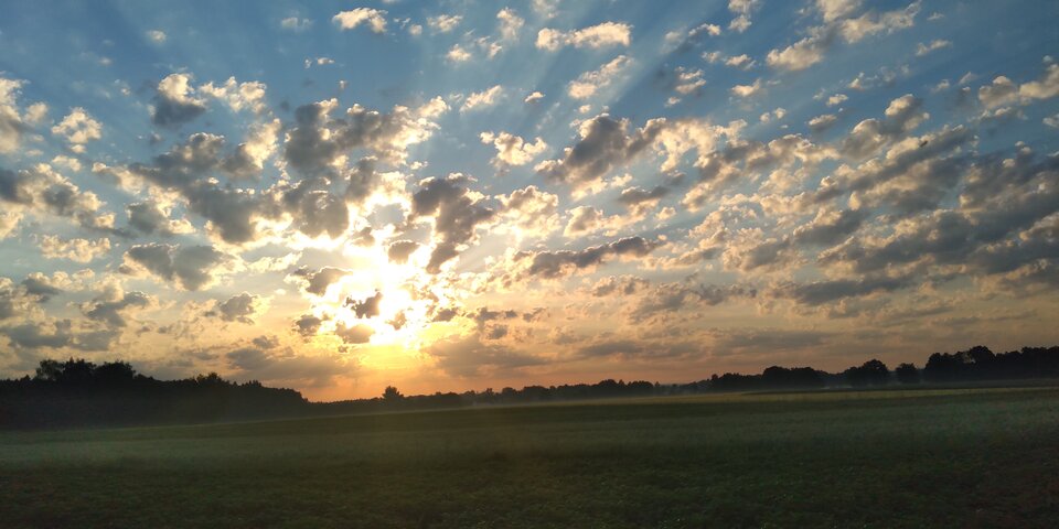 IMG_20220616_052453.jpg - STORCK