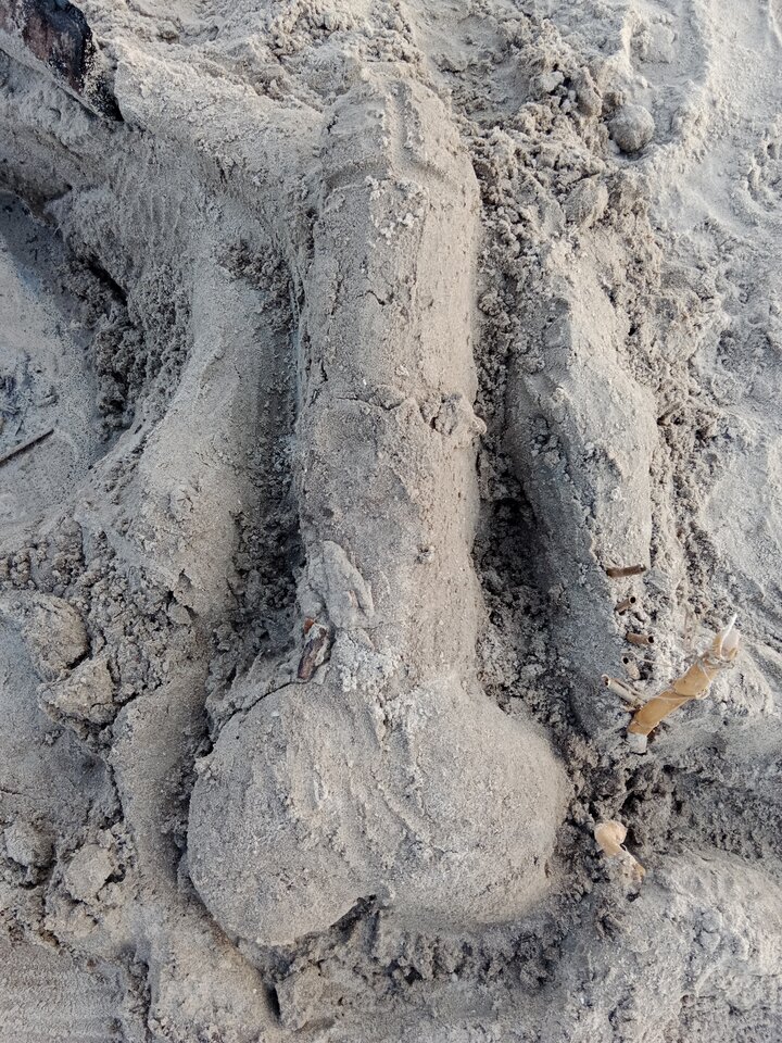 Taaaki kutas - Suannna