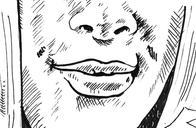 rj5 (12).jpg - kreska0