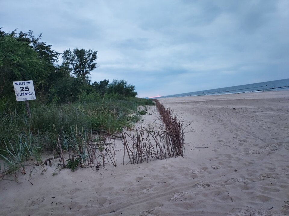 20220718_210154.jpg - Reksiki