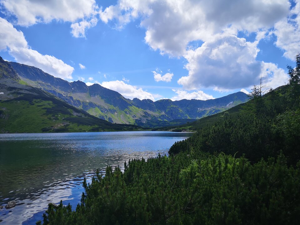 IMG_20220715_151155.jpg - elektroluz