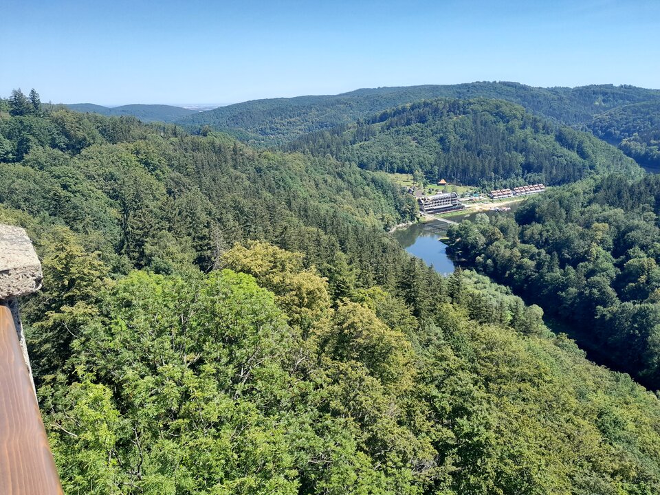 20220719_121007.jpg - 1EWELIKAR1