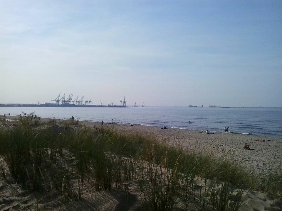 20220719_175636.jpg - AngryWolf