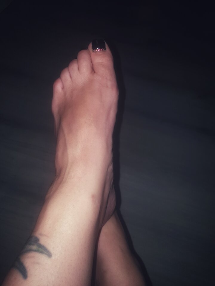 Stopa króla Juliana - agamich