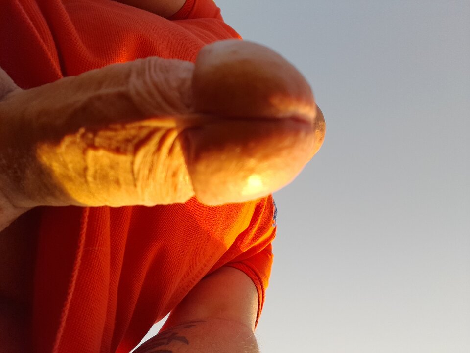 20220720_062036.jpg - rafal1410