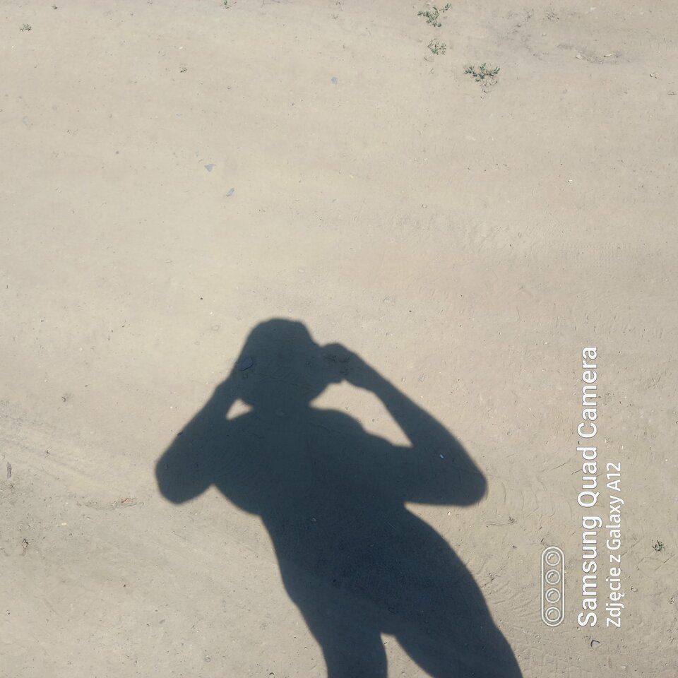 20220720_123033.jpg - amfeti35