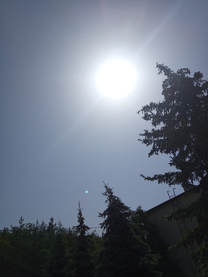 IMG_20220720_112251_1.jpg - Poloczek1