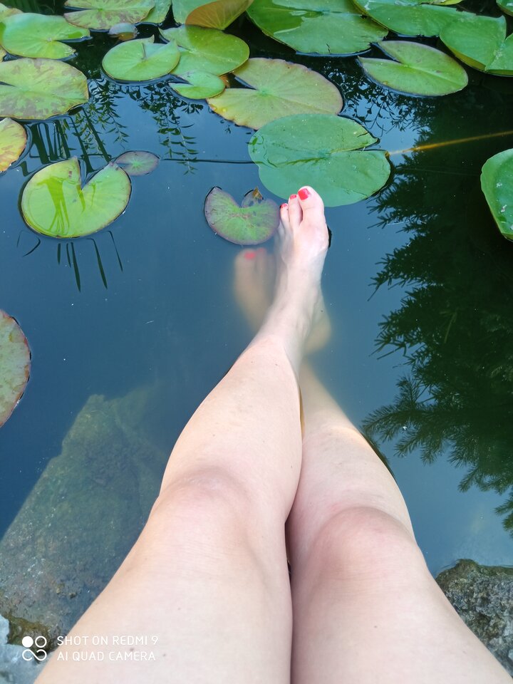 IMG_20220720_165003.jpg - TakJakLubieKotek