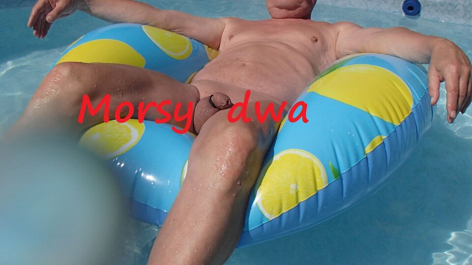 Zbiornik 1736.  Upalny dzień !!! - Morsy_dwa