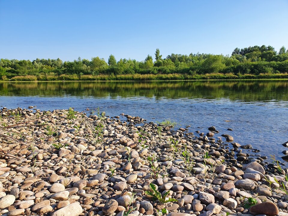 20220720_180555.jpg - misiaky