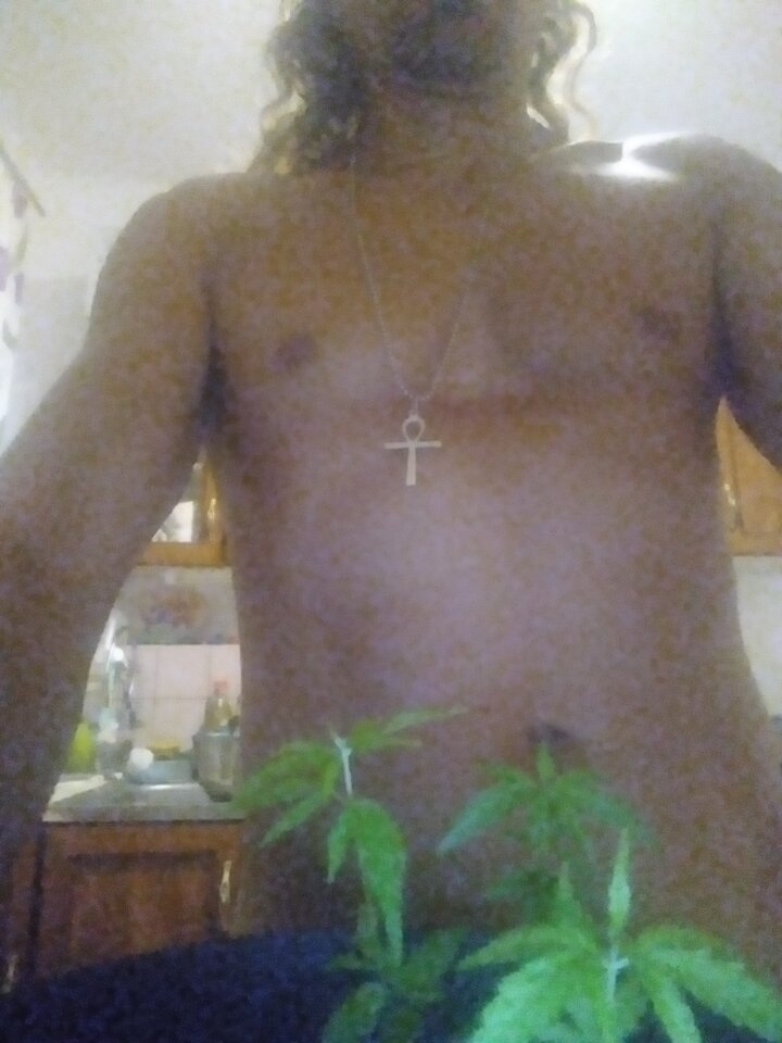 16583517528298501221008184781662.jpg - sexlimerick