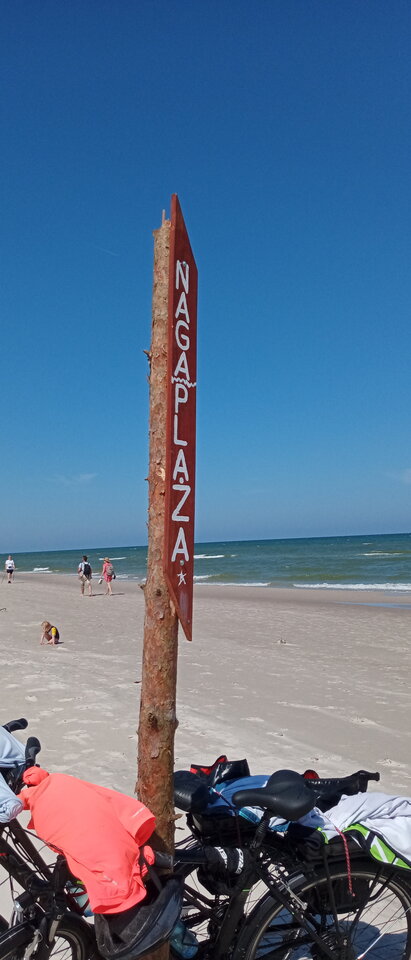 IMG_20220719_112309_4.jpg - Vaginafans