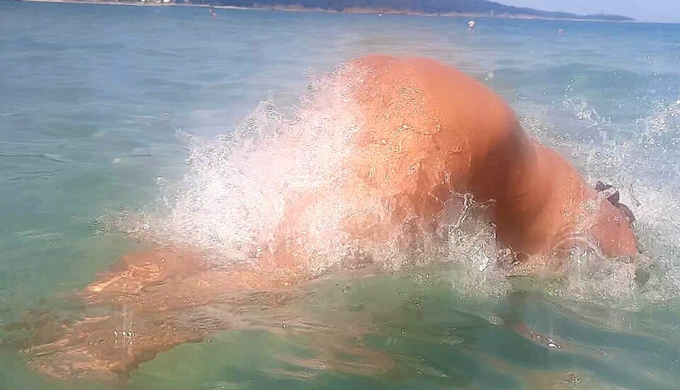 VideoCapture_20220721-162252.jpg - salomon7776