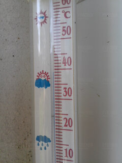 Lato 2022 w cieniu 20220721_151737.jpg