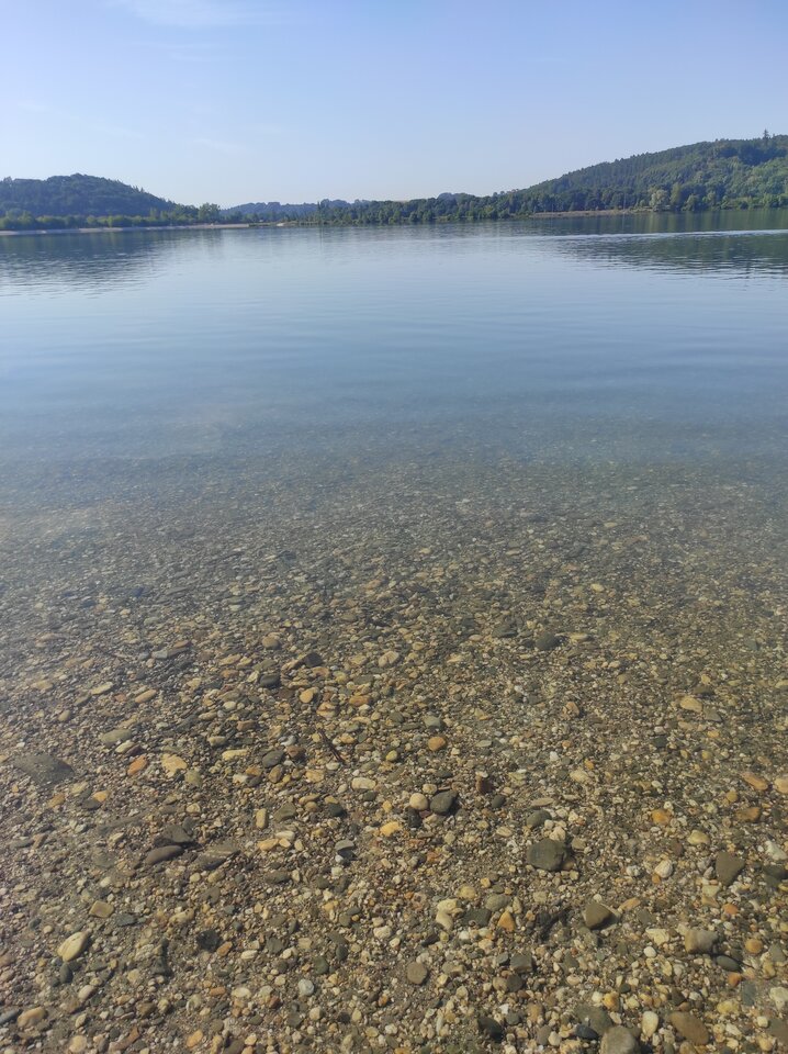 IMG_20220721_083703.jpg - kajol302