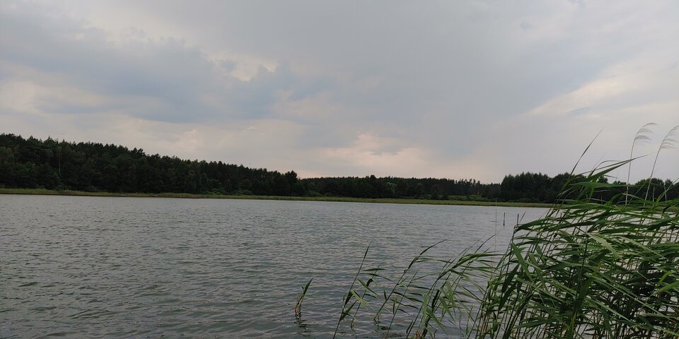 1658421340913317603803978830917.jpg - Chagal69