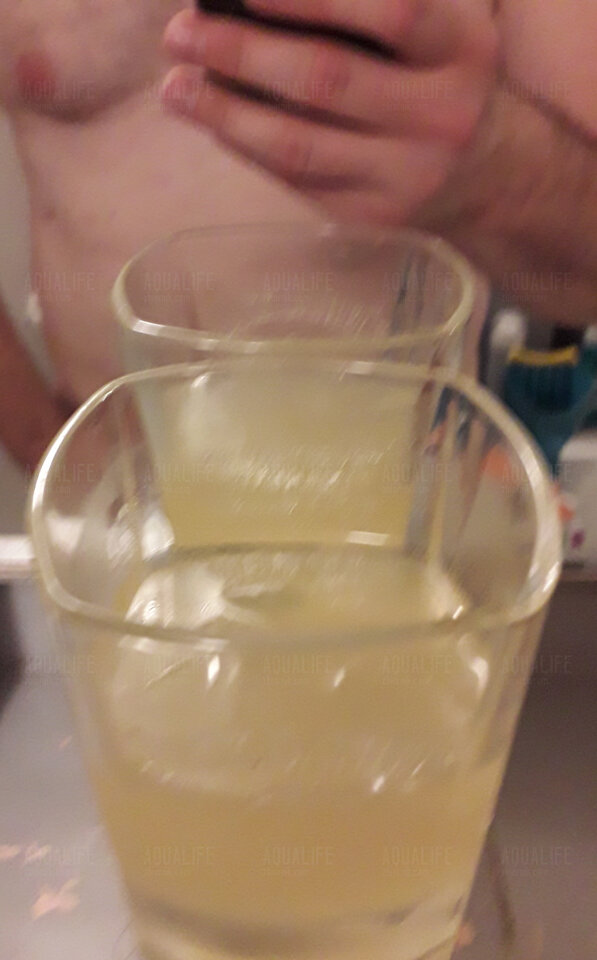 Orzeźwiający Jack Daniels z lemoniadą - Aqualife