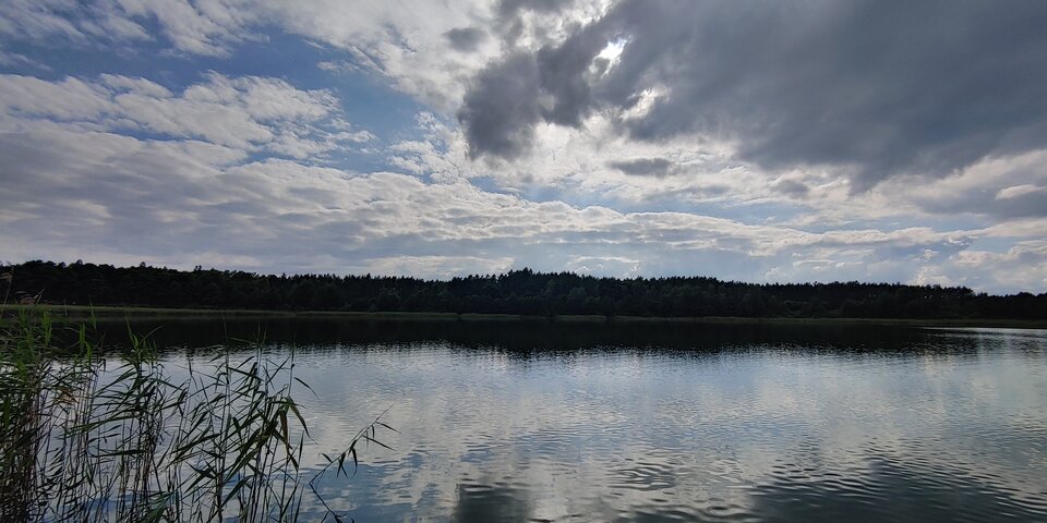 16585032468527274705556415676638.jpg - Chagal69