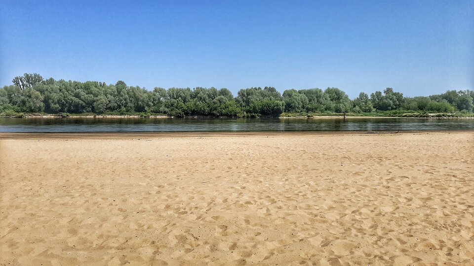 20220721_122319-01.jpeg - dr8385