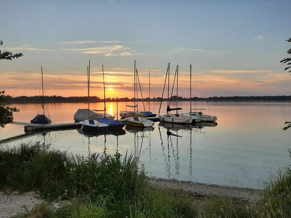 20220722_203947.jpg - Maggreg2020