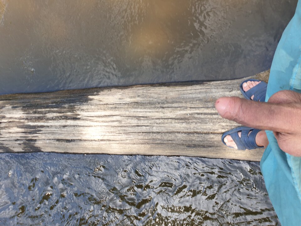 20220626_140344.jpg - Marzyciel525