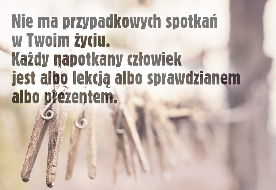 B29B9F93-EB72-43F4-9089-A10653D1B8A1.jpeg - kotecek88