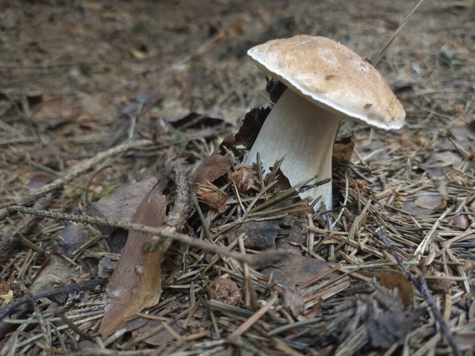 IMG_20220723_070357251.jpg - skrad_dleihs