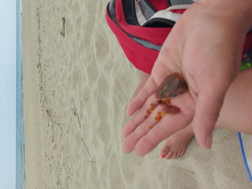 IMG_20220723_094043_MP.jpg - parkawarmia