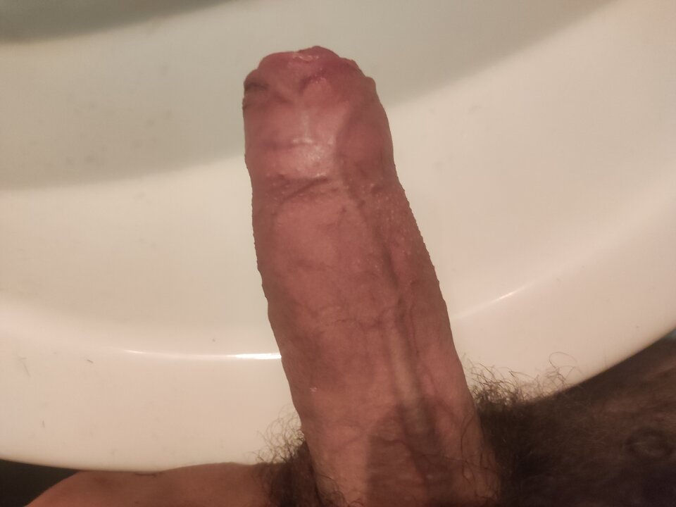 1658595721872279519792302248559.jpg - Kamilo7ab