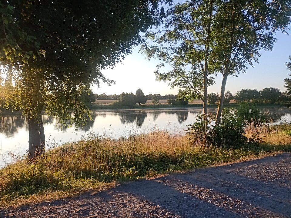 16586345246721371044396837601746.jpg - Zorro8