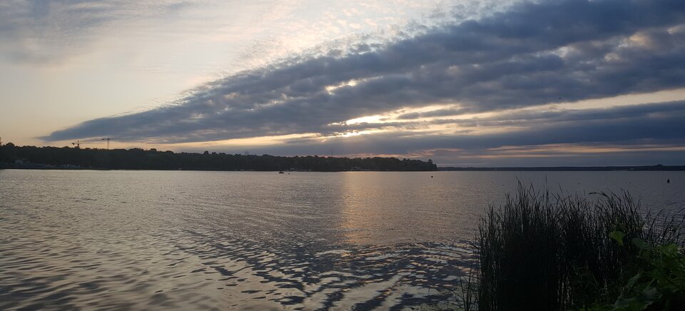 20220724_053252.jpg - yeery